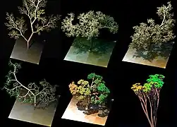 Os padrões de crescimento de certas árvores lembram os fractais do sistema-L