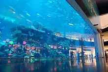 Aquário do shopping (Dubai Aquarium and Discovery Centre)