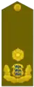 Estónia:Brigaadikindral