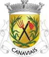 Brasão de armas de Canaviais