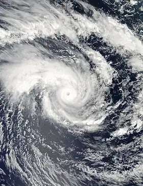 imagem ilustrativa de artigo Ciclone Edzani