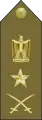 Egito:Lieutenant general / فريق