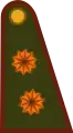 Exército Argentina(General de brigada)