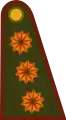 Argentina:General de División