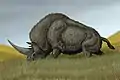 Elasmotherium sibiricum, um perissodátilo