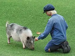 Emílio no Mundo de Astrid Lindgren, em Vimmerby