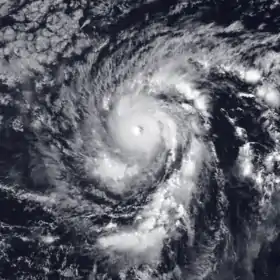 imagem ilustrativa de artigo Furacão Emilia (1994)