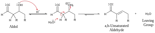Mecanismo por desidratação catalisada por ácido de um aldol