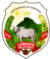 Brasão de armas de Camoapa
