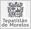 Brasão de armas de Tepatitlán de Morelos