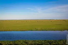 Estação Ecológica do Taim fica localizada no extremo sul do Rio Grande do Sul, Brasil.