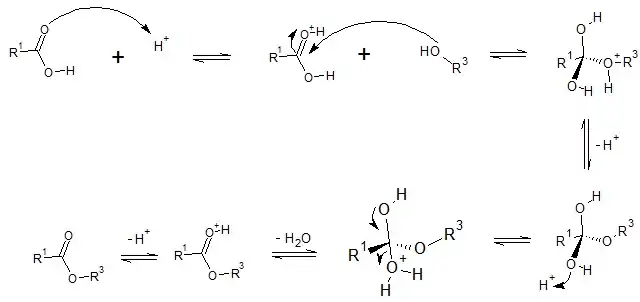 Mecanismo de esterificação