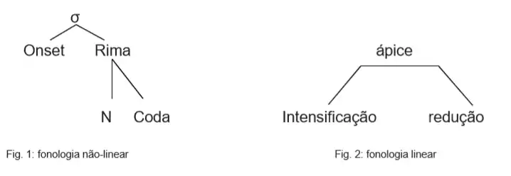 Comparação entre modelo linear e não linear da sílaba