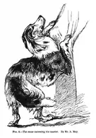 "Cão acariciando seu dono "