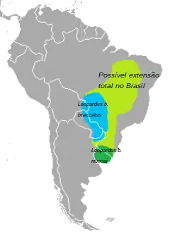 Distribuição do Leopardus braccatus