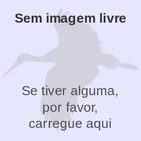 Taxocaixa sem imagem