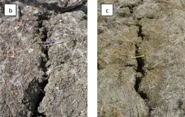 Fendilhamento em Vertissolo (Lima, 2014)