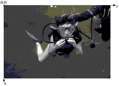 Apresentação de uma imagem com seu posicionamento no eixo cartesiano.