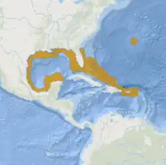 Distribuição nativa do peixe-anjo-das-Bermudas