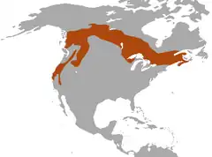 Distribuição da Marta- Pescadora