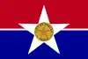 Bandeira de Dallas