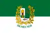 Bandeira de Demecser