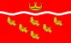 Bandeira de East Sussex