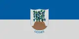 Bandeira de Gödre