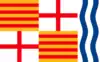 Bandeira de Igualada