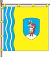Bandeira de Kaniv