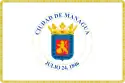 Bandeira oficial de Manágua