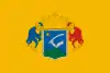 Bandeira de Nyáregyháza