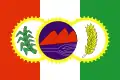 Bandeira de Porto Calvo