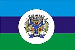 Bandeira de Rosana