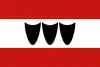 Bandeira de Třebíč