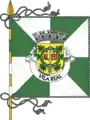 Bandeira de Vila Real