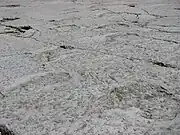 Um outro trilho mais curto de pegadas.