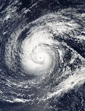 imagem ilustrativa de artigo Tufão Francisco (2013)