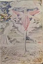 Criação dos Peixes e Aves