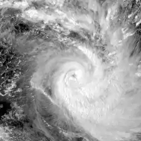 imagem ilustrativa de artigo Ciclone Freda