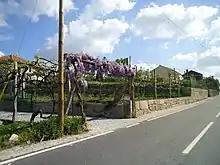 Amarante Fregim Eira-Nova