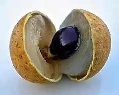 Longan - Fruto aberto