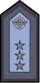 Argentina:Brigadier mayor