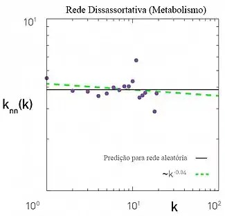 Gráfico da função de correlação de graus de uma rede neutra.