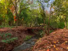 Fundo de Vale Afonso Benedito Gonçalves