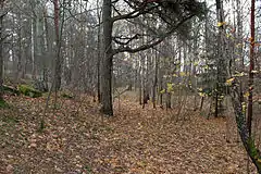 A reserva natural de Gökstenen