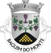 Brasão de armas de Baguim do Monte