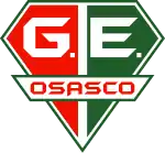 Grêmio Esportivo Osasco