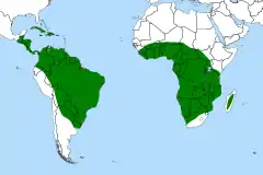 Distribuição mundial do género