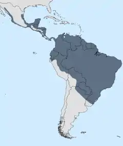 Distribuição geográfica do G. caerulescens.